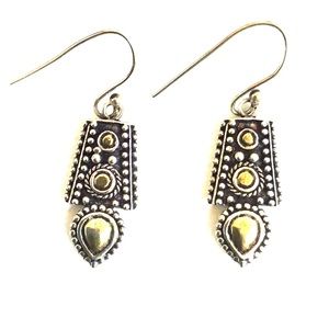 Silver and brass colored earrings